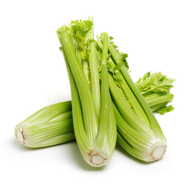 Celery &amp; Fennel