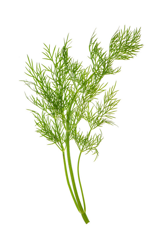 Dill
