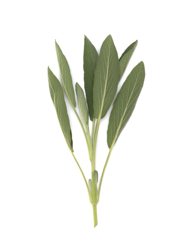 Sage