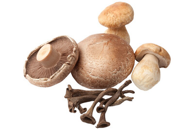 Mushrooms