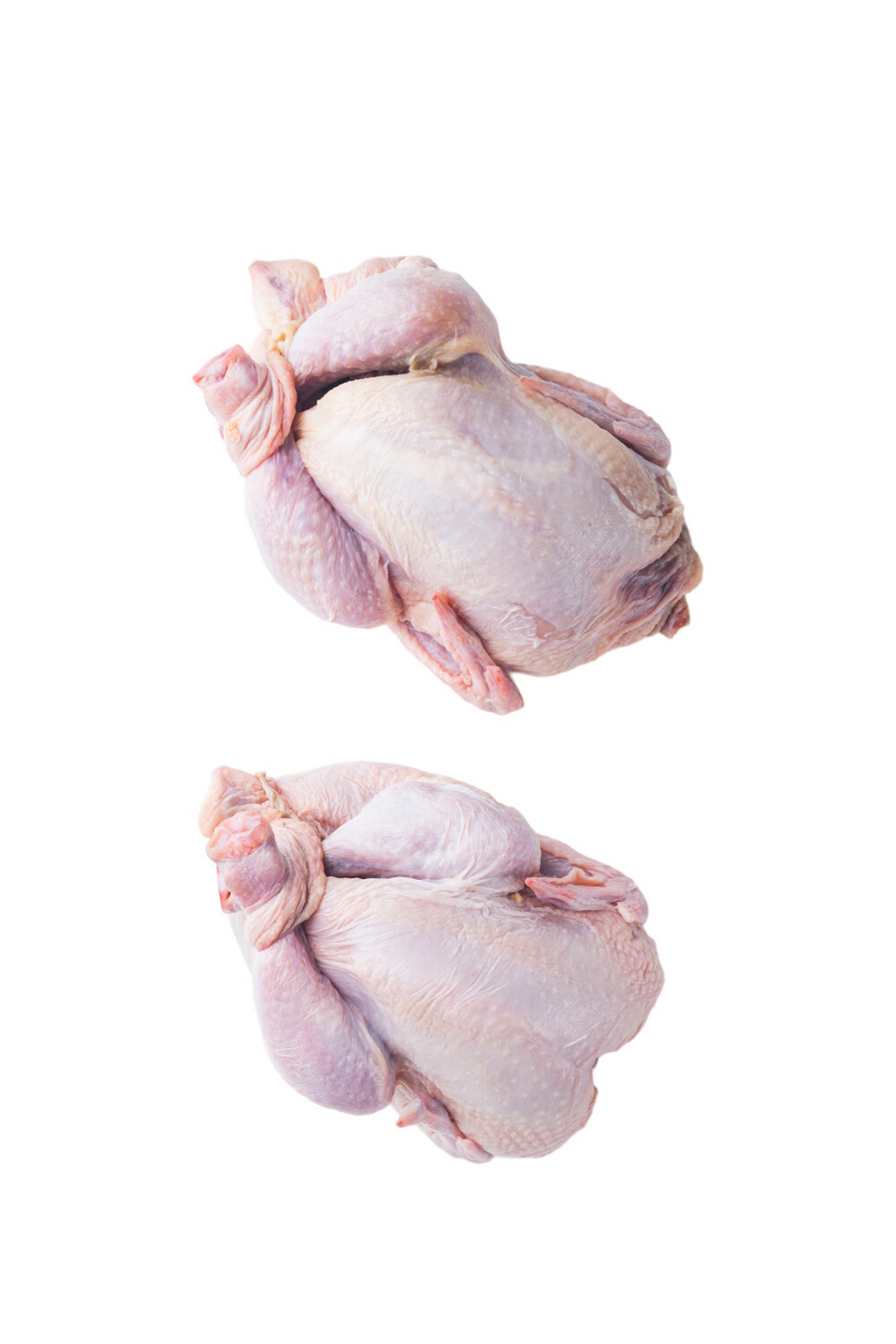 Poussin Chicken