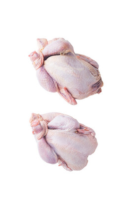 Poussin Chicken