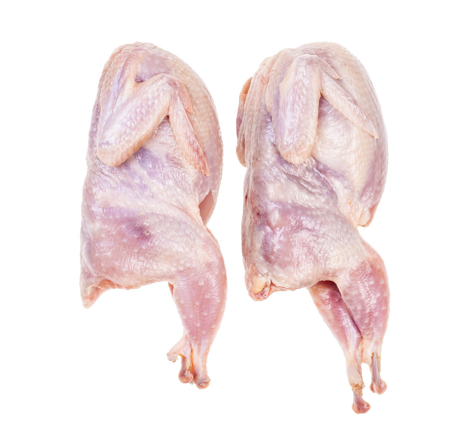 Semi-Boneless Quail