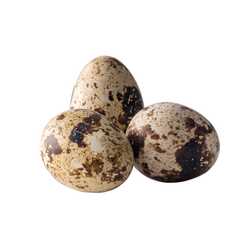 Quail Eggs
