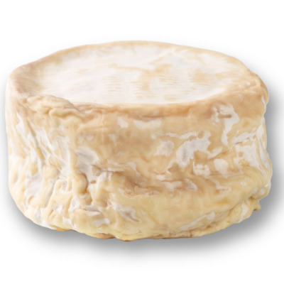 Bloomy Rind