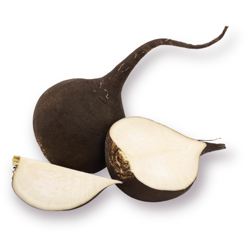 Black Radishes