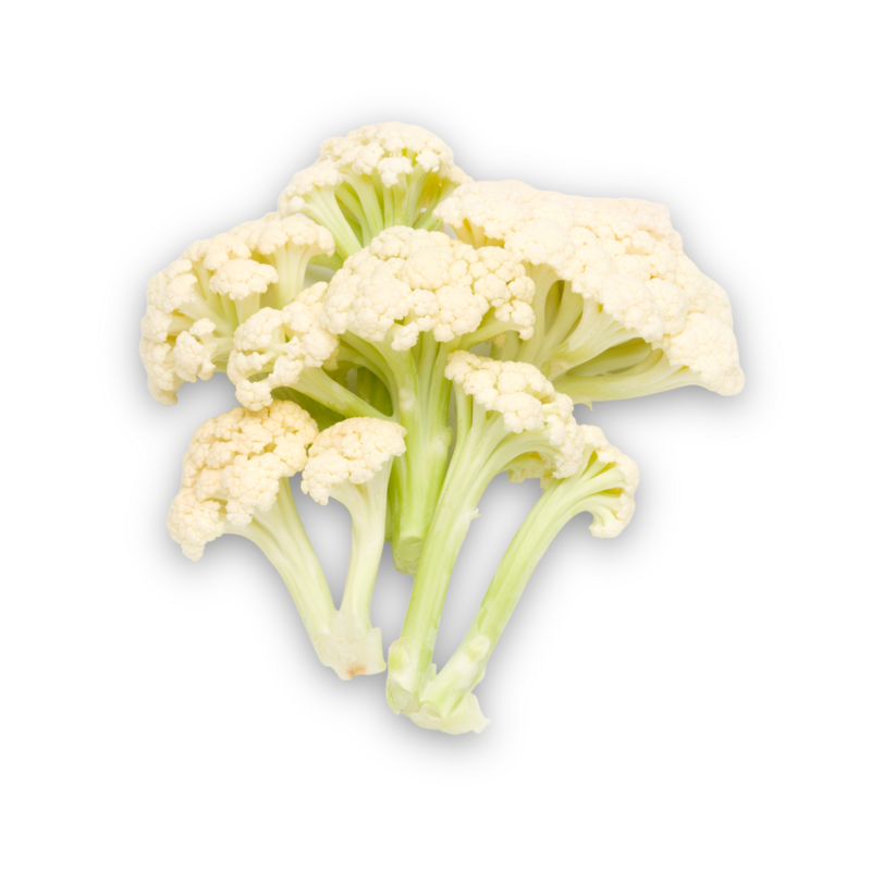 Loose Caulilini