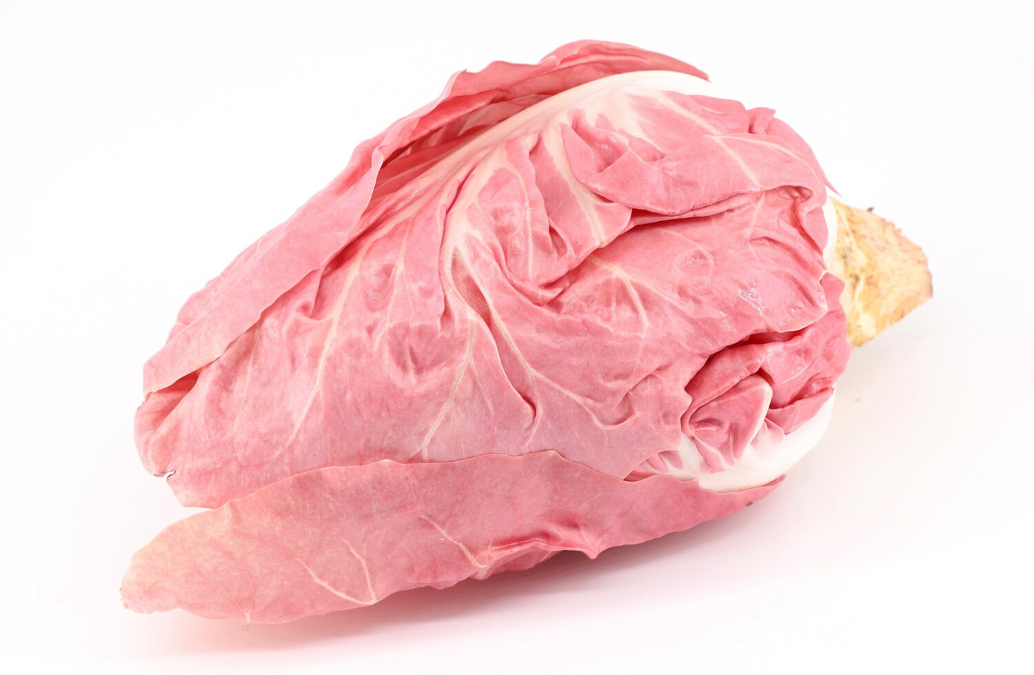 Pink Radicchio DelVeneto from Italy