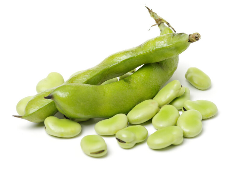 Fava Beans