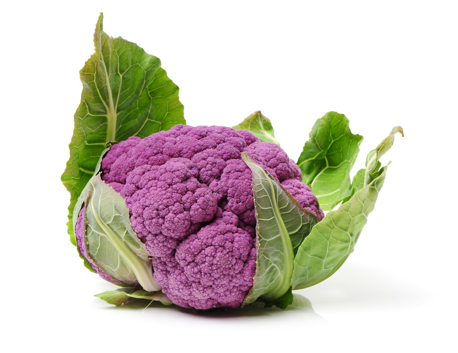 Cauliflower Purple