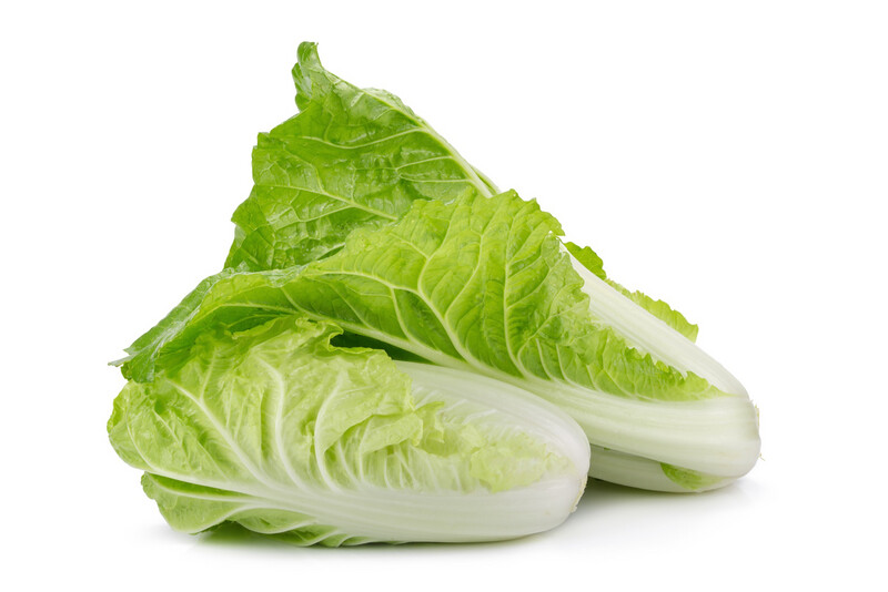 Napa Cabbage