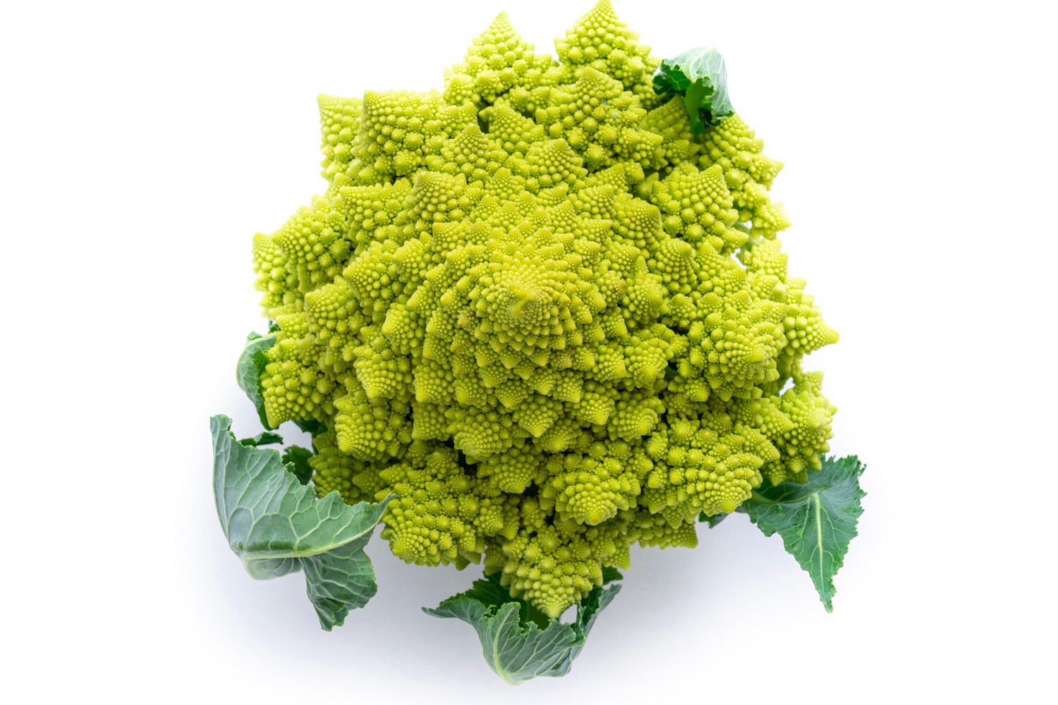 Romanesco