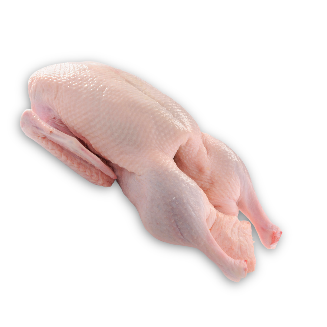 Whole Duck