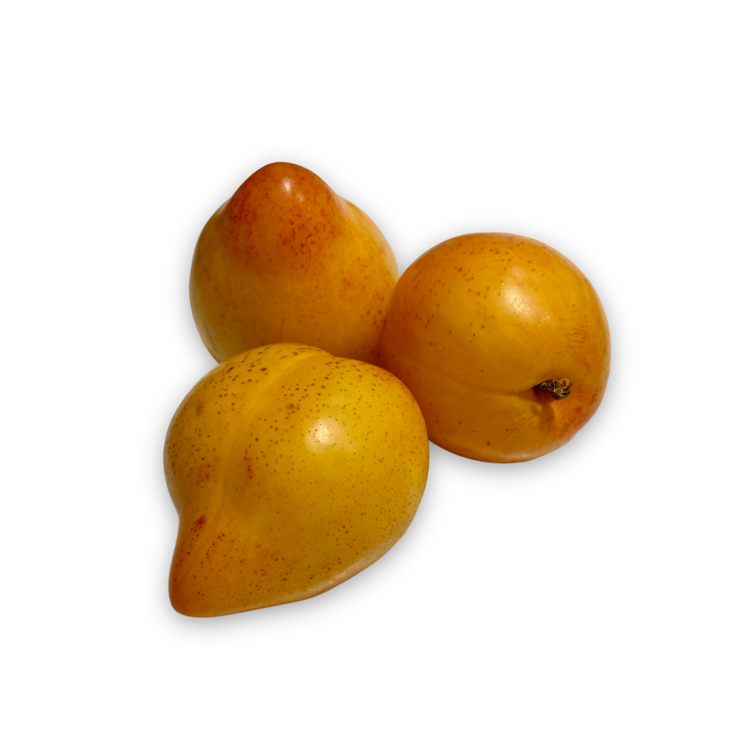 Lemon Plums