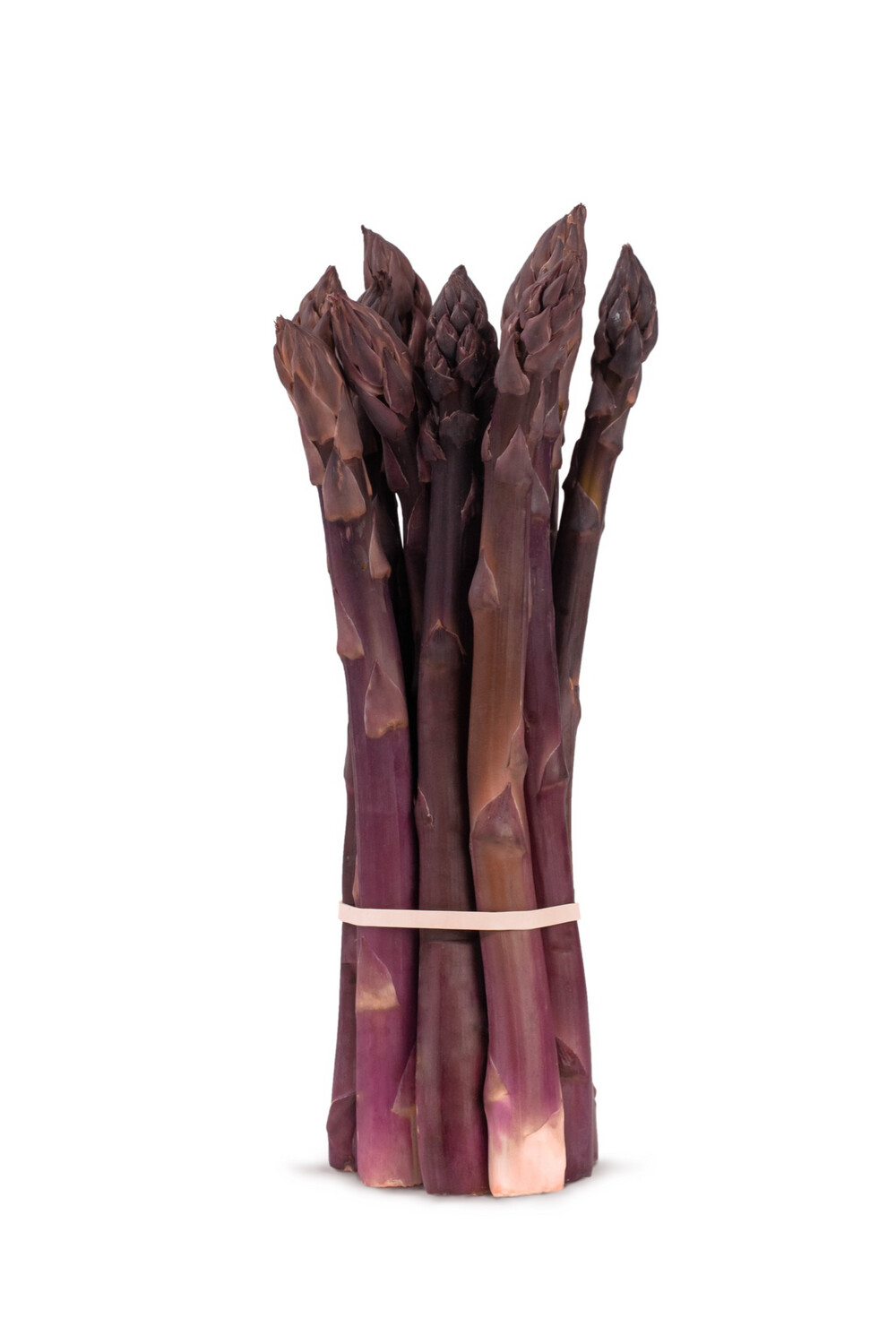 Purple Asparagus