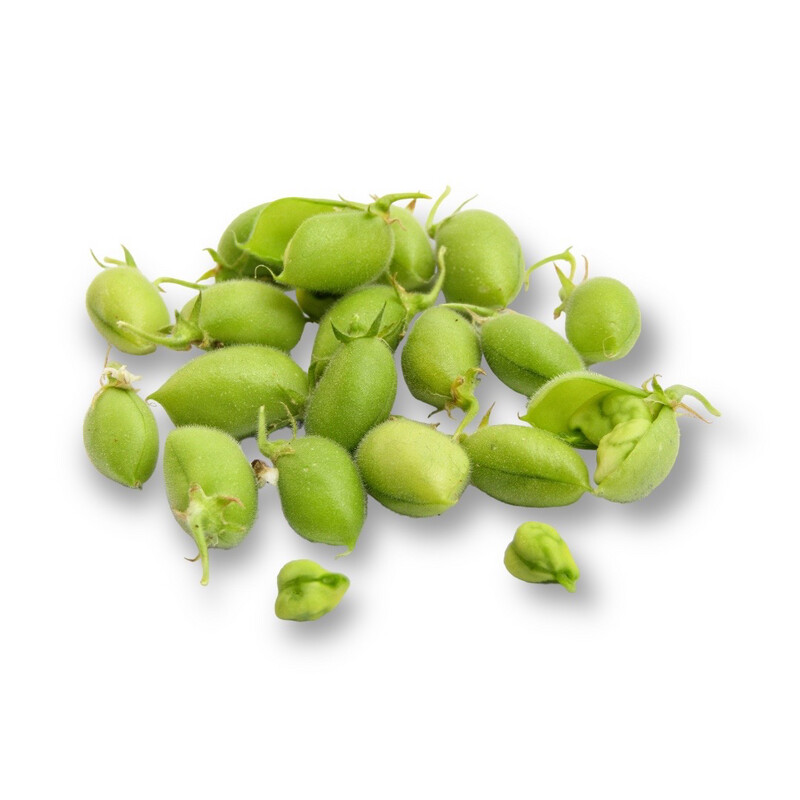 Fresh Garbanzo Beans