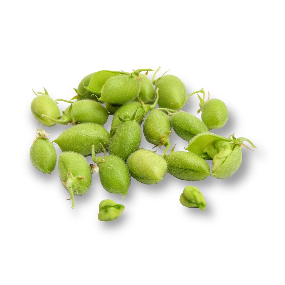 Fresh Garbanzo Beans
