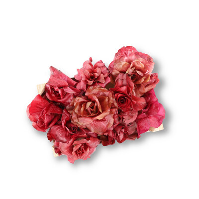 Rosa Di Gorizia Radicchio from Italy