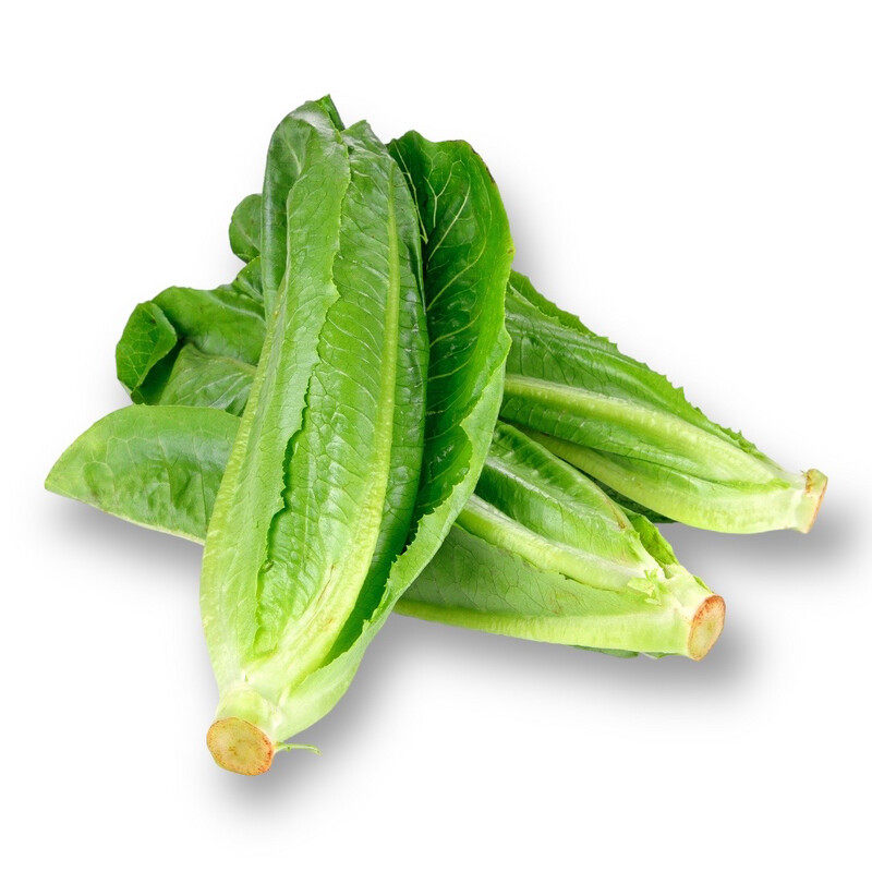 Romaine Hearts