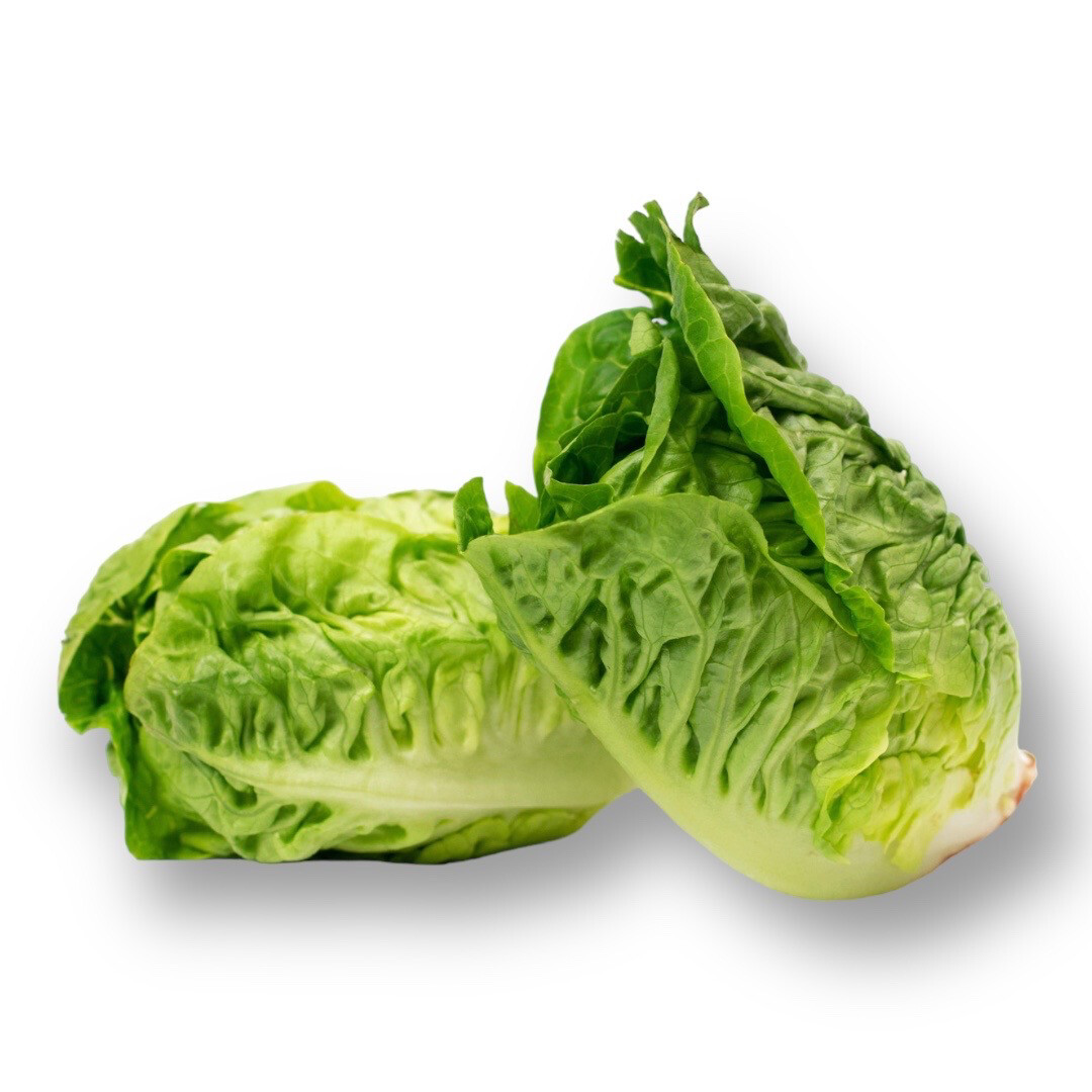 Little Gem Green Lettuce