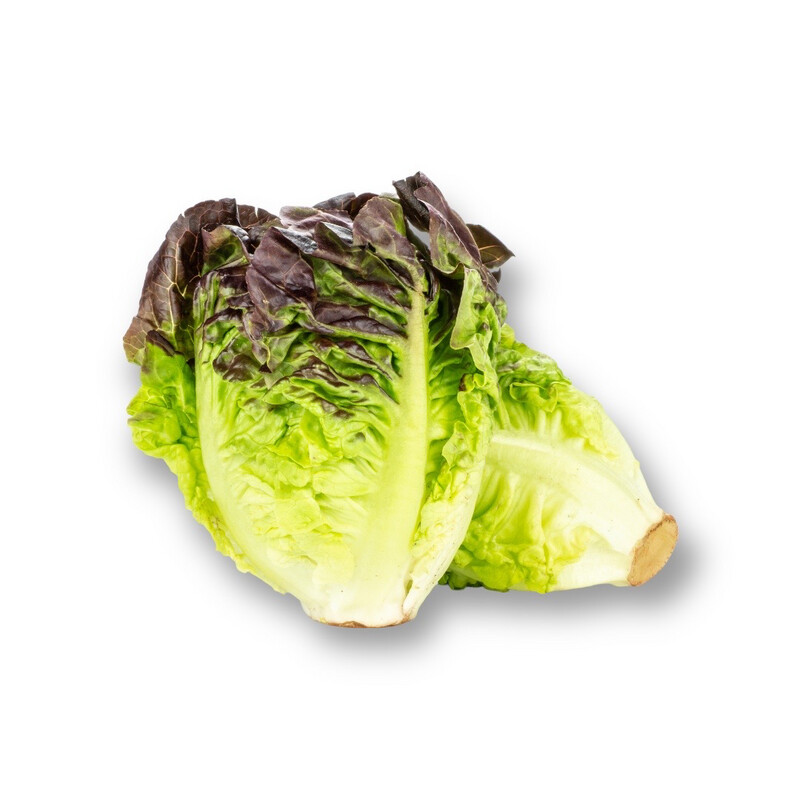 Little Gem Red Lettuce