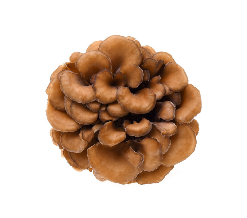 Maitake Mushrooms