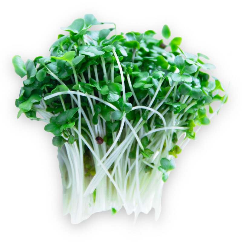 Micro Broccoli