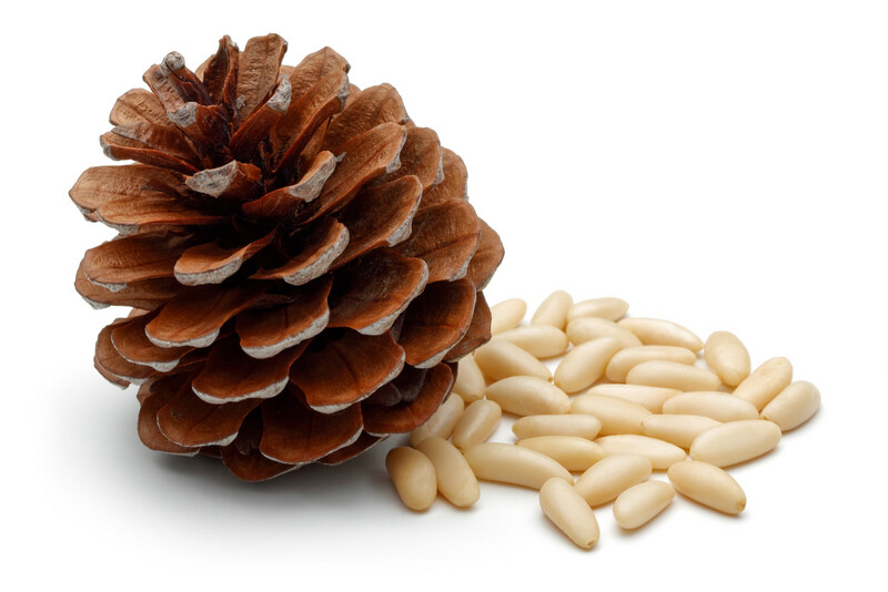 Raw Pine Nuts