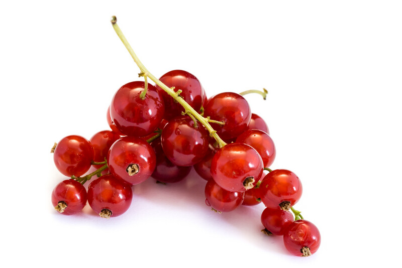 Red Currants