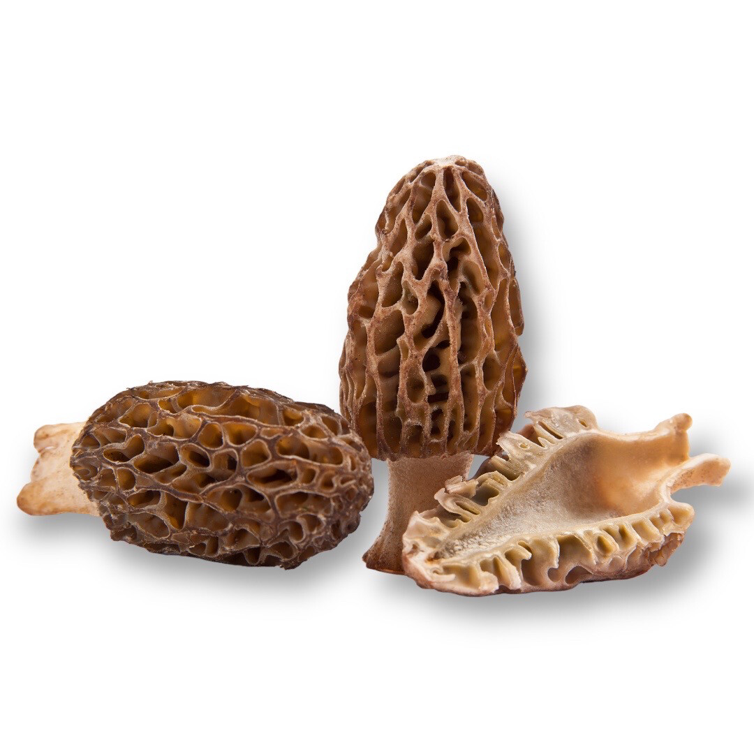 Morel Mushrooms