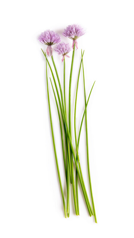 Chives