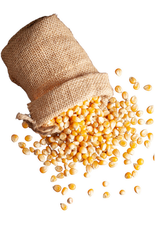 Popcorn Kernels