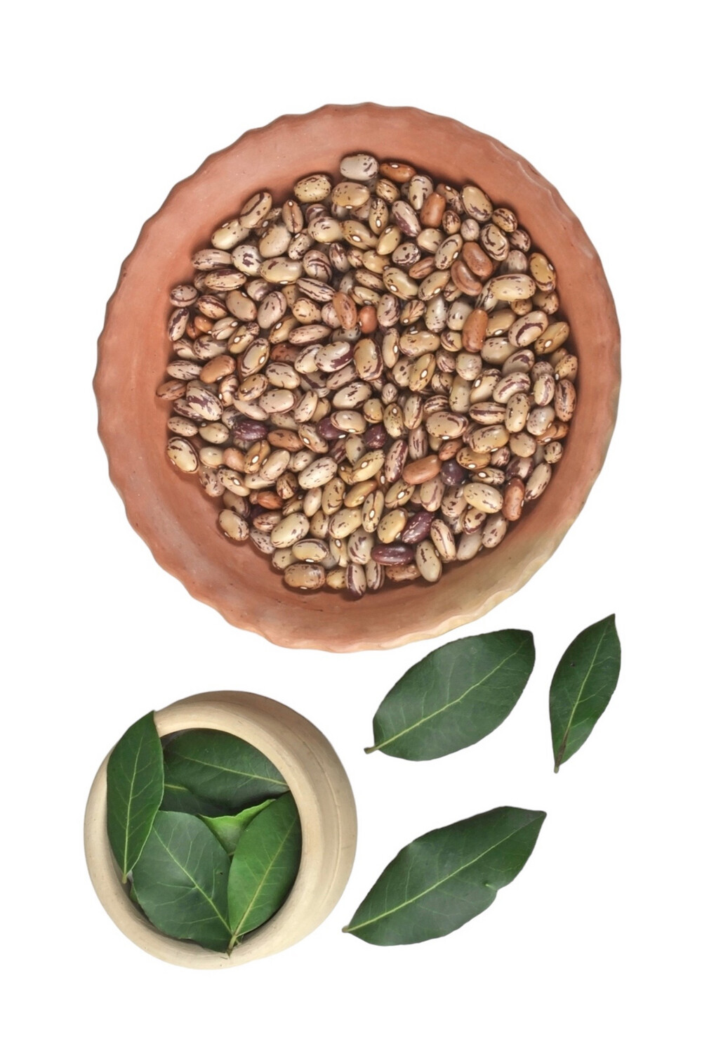 Pinto Beans