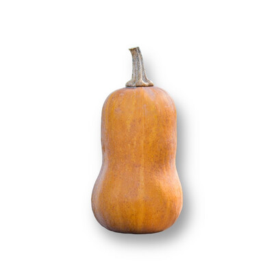 Honeynut Squash