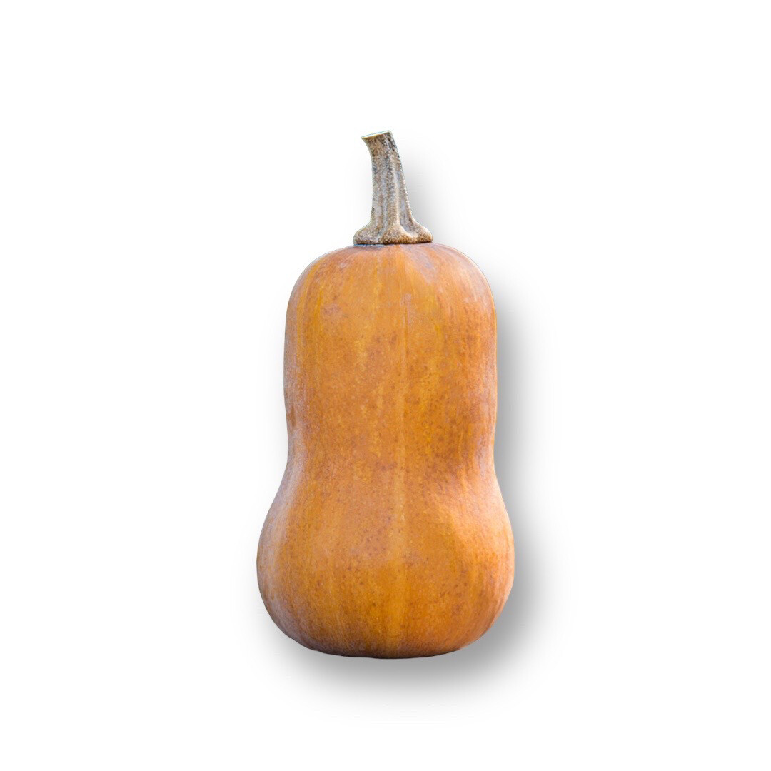 Honeynut Squash