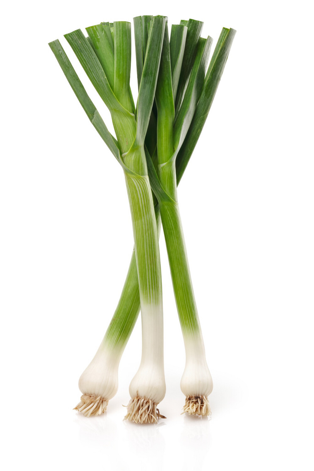 Spring / Green Garlic