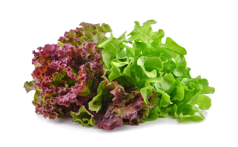 Lettuce, Nancys Fairfield CT