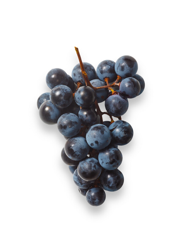 Concord Grapes