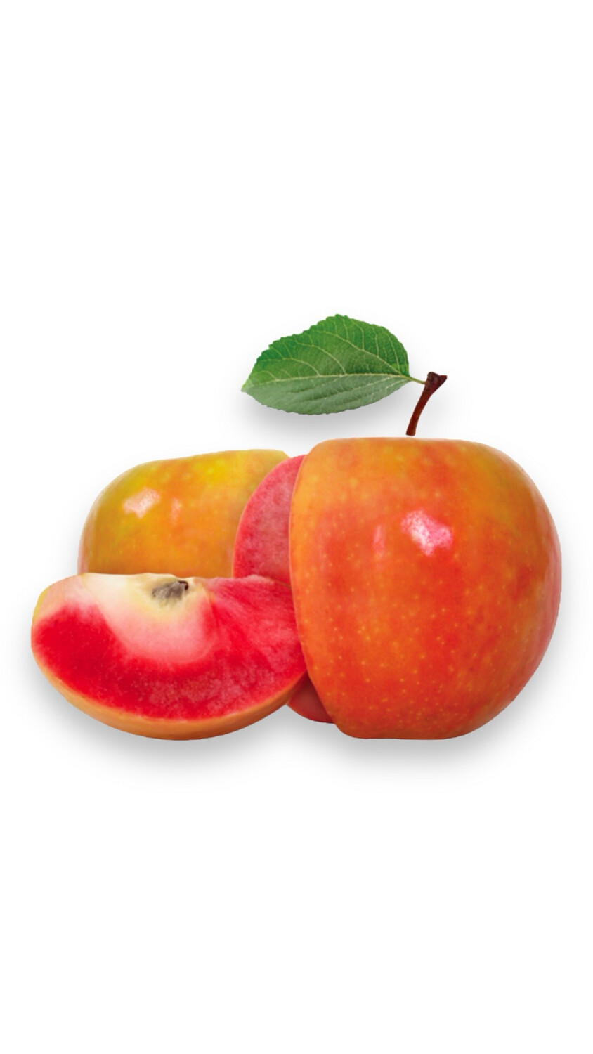 Lucy Rose Apples