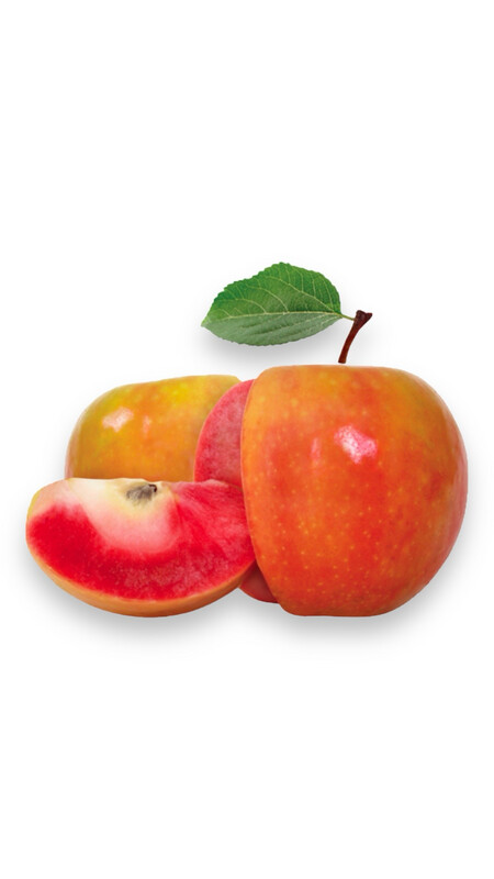 Lucy Rose Apples