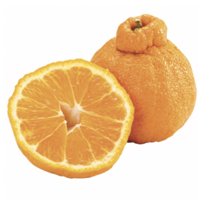 Sumo Oranges