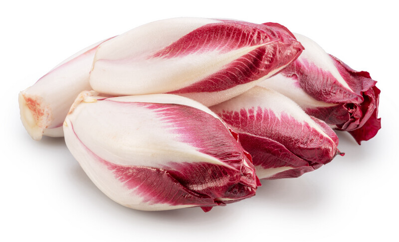 Red Endive
