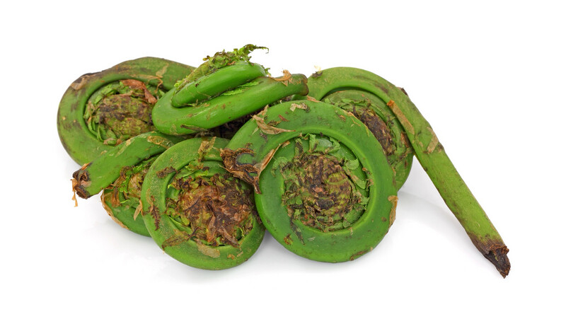Fiddleheads
