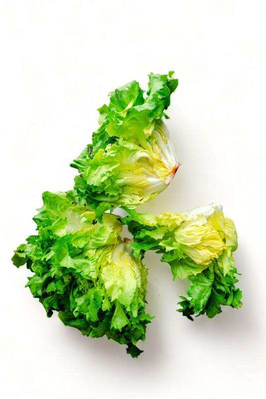 Escarole