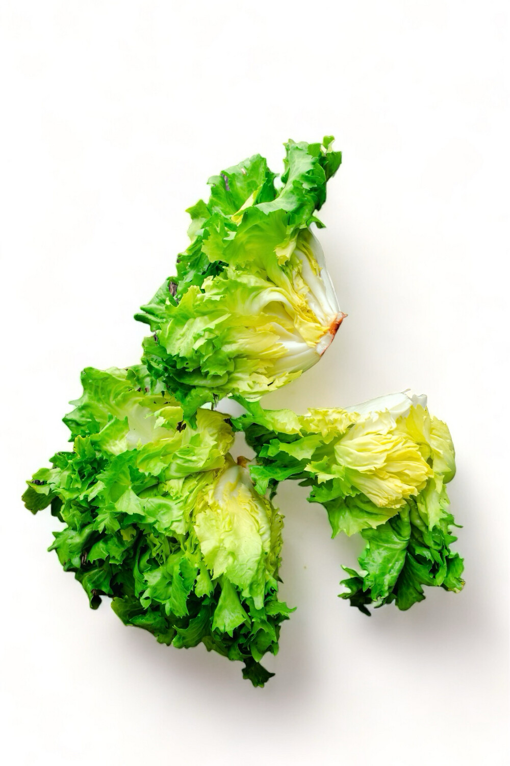 Escarole