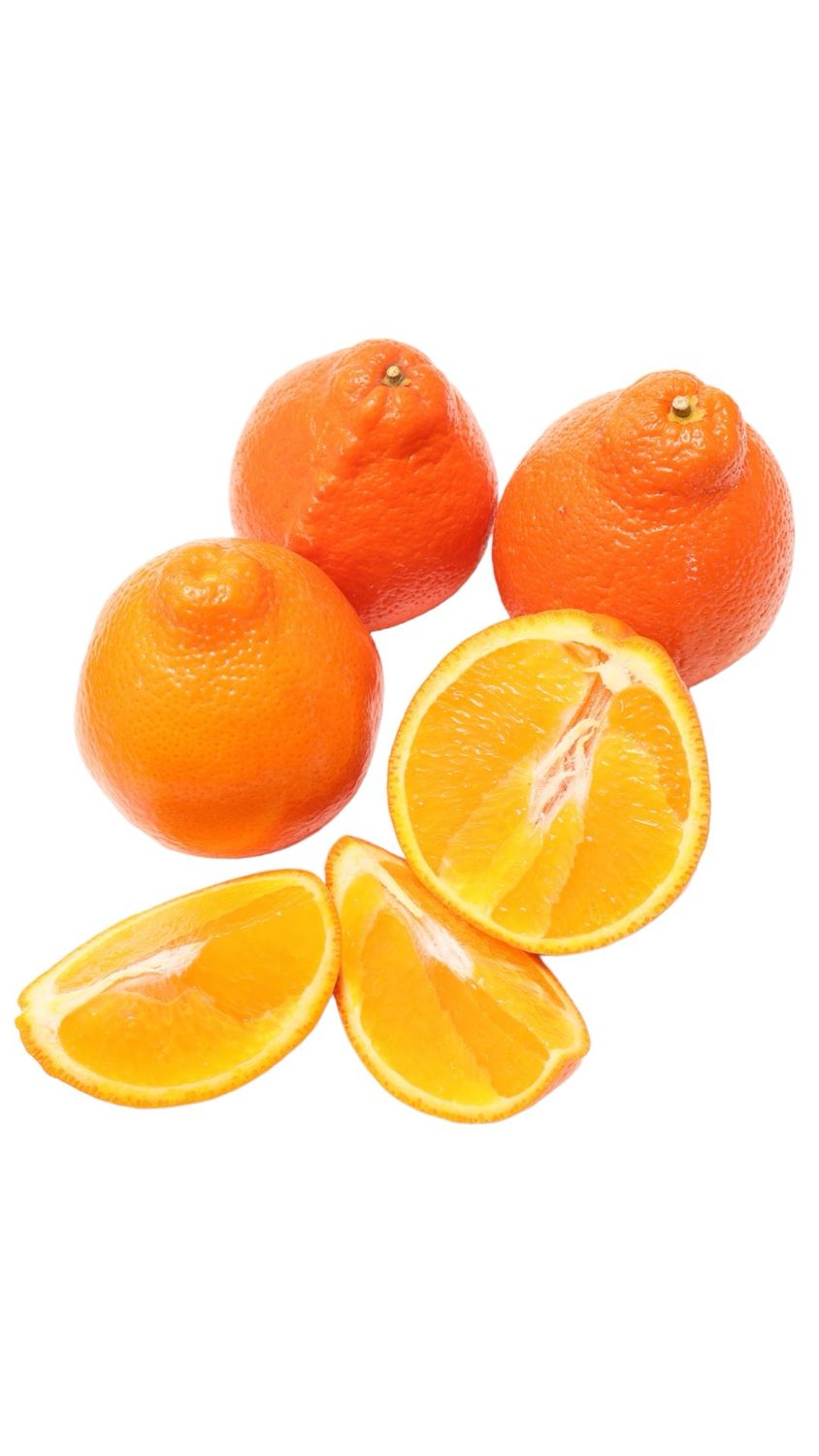 Honeybell Tangelos Bernard Ranch