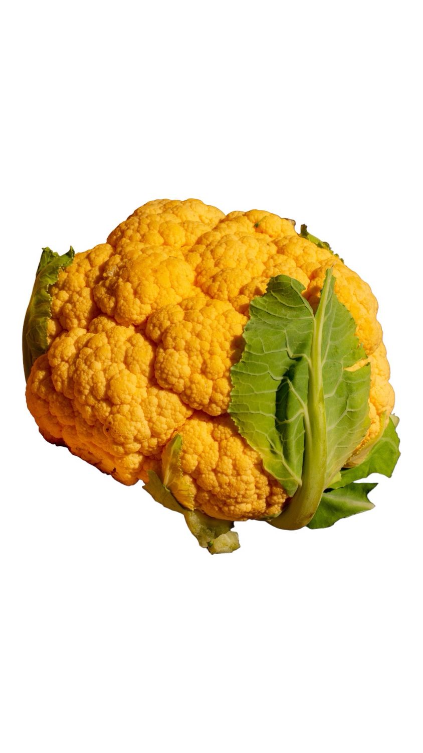 Gold Cauliflower