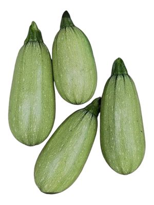 Sweet Dumpling Squash