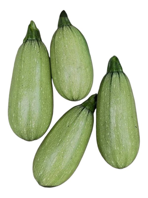 Sweet Dumpling Squash