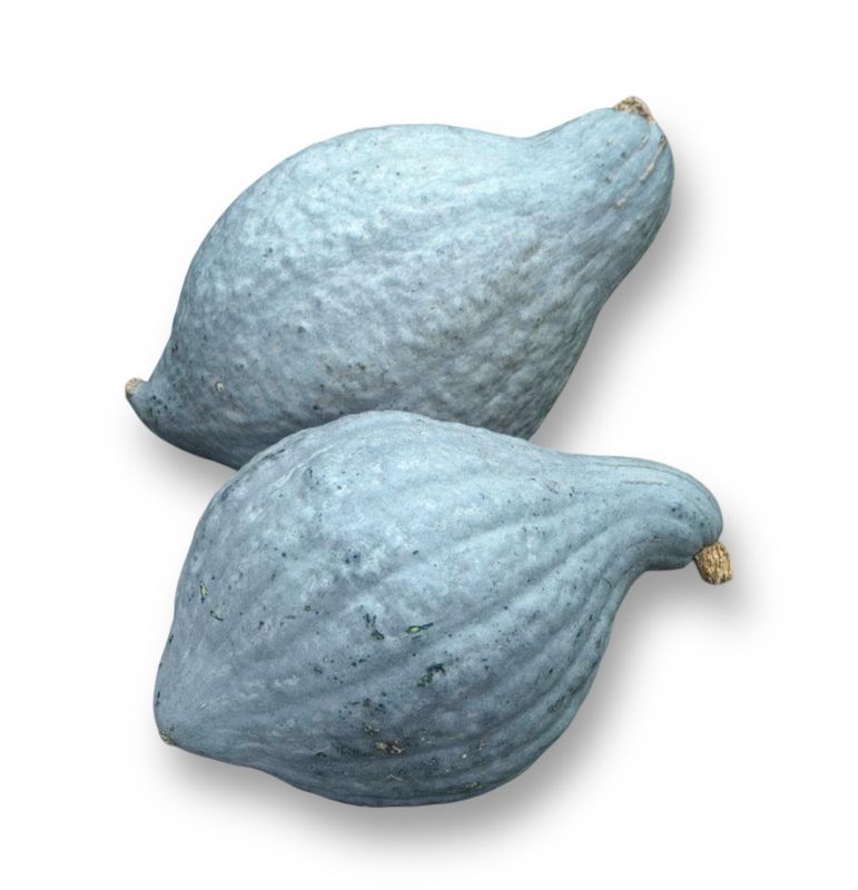 Blue Hubbard Squash